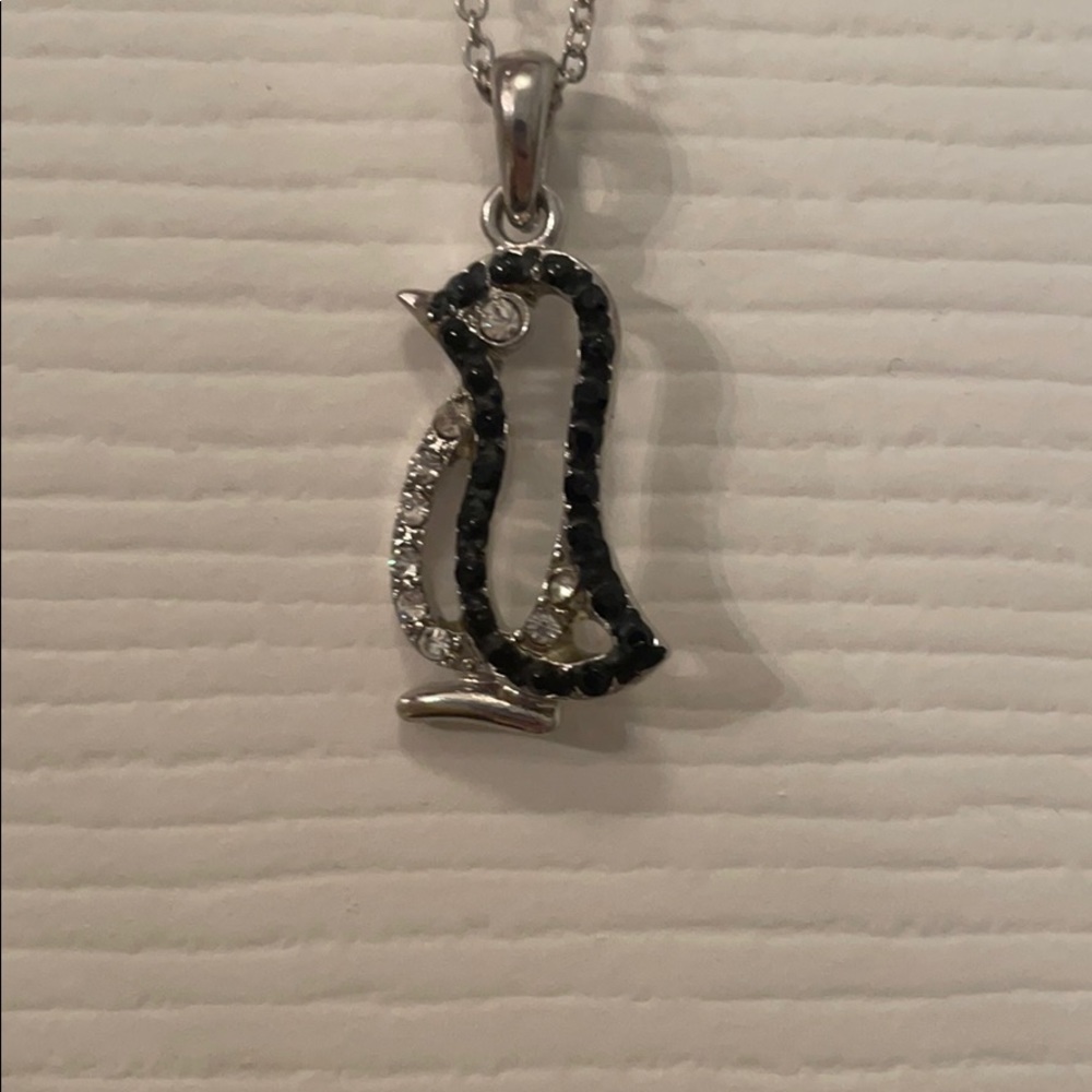 Simply Chic Penguin Necklace with earrings